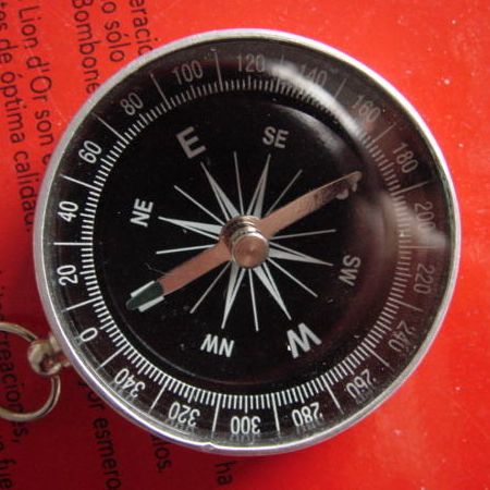Leaderboard Visualisation - Compass